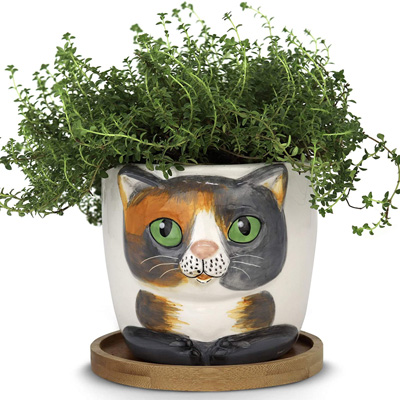 cat planters and pot plants