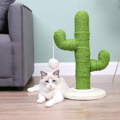Cactus Cat Scratching Posts, Beds, Caves, Tunnels, And Toys