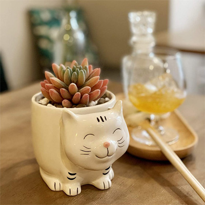 cat planters and pot plants