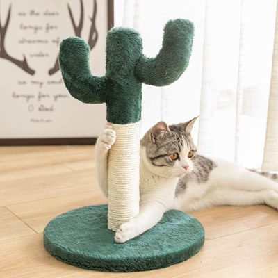 Cactus Cat Scratching Posts, Beds, Caves, Tunnels, And Toys