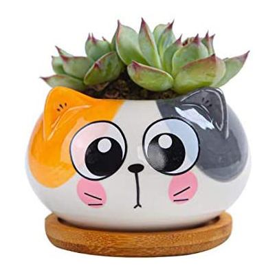 jelly cat plant pot