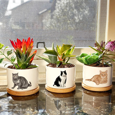 cat planters and pot plants