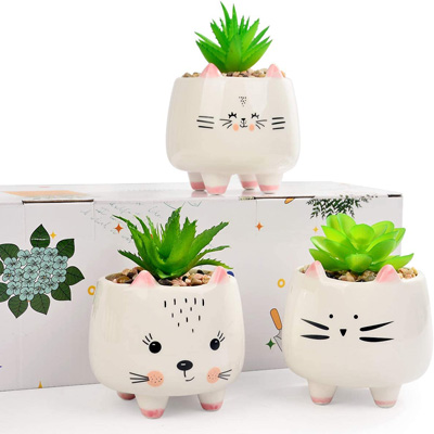 cat planters and pot plants