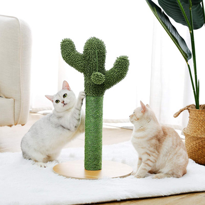Cactus Cat Scratching Posts, Beds, Caves, Tunnels, And Toys