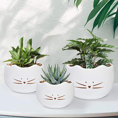 cat planters and pot plants