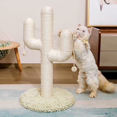 Cactus Cat Scratching Posts, Beds, Caves, Tunnels, And Toys