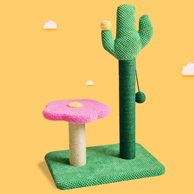 Cactus Cat Scratching Posts, Beds, Caves, Tunnels, And Toys