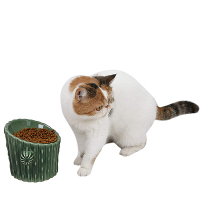 Cactus Cat Scratching Posts, Beds, Caves, Tunnels, And Toys