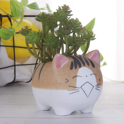 cat planters and pot plants