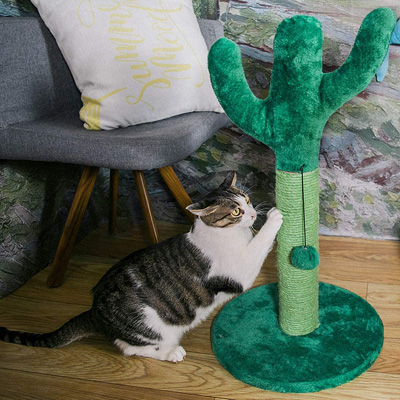 Cactus Cat Scratching Posts, Beds, Caves, Tunnels, And Toys