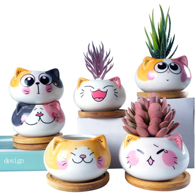 cat planters and pot plants