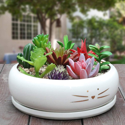 cat planters and pot plants