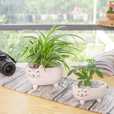 cat planters and pot plants