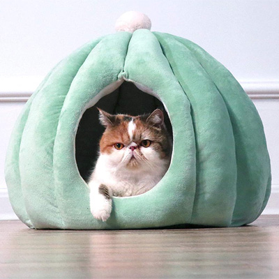 Cactus Cat Scratching Posts, Beds, Caves, Tunnels, And Toys