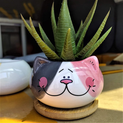 cat planters and pot plants