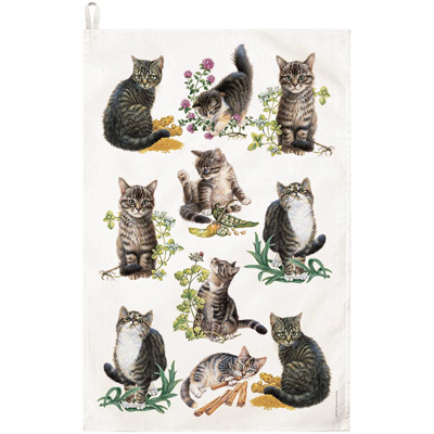cat kitchen towels