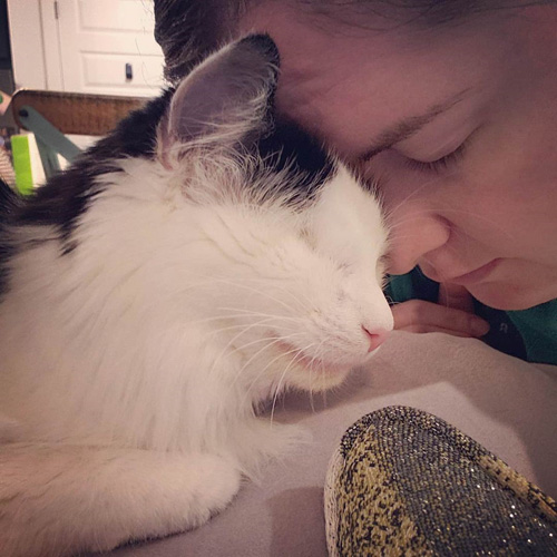 fluffy black and white one-eyed rescue cat