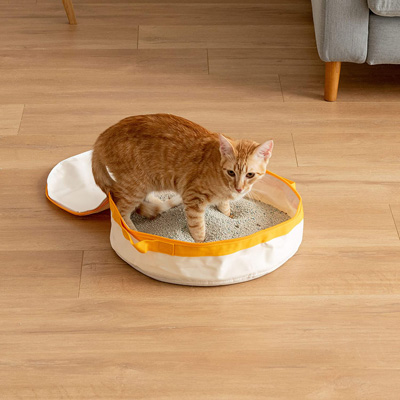 Travel Cat Litter Boxes