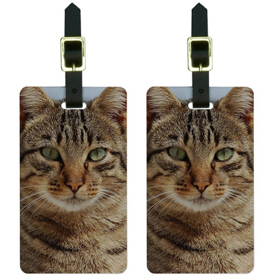 Cat Luggage Tags For Feline Fanatics Who Love To Travel – Meow As Fluff