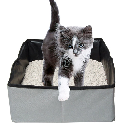 Travel Cat Litter Boxes To Take On Your Next Trip With Your Kitty