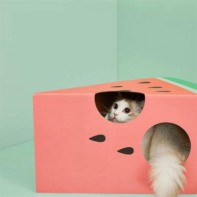 Cardboard Cat Houses