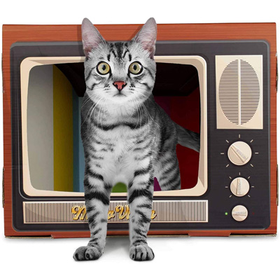 Cardboard Cat Houses