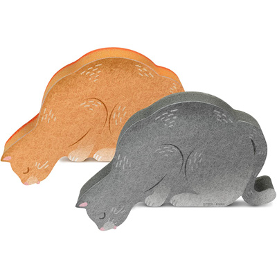 cat dish washing sponge