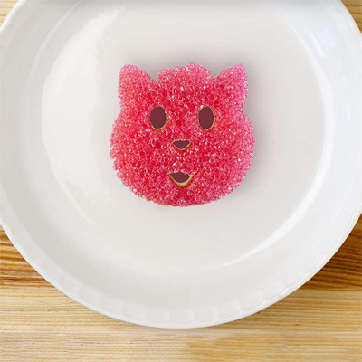 cat dish washing sponge