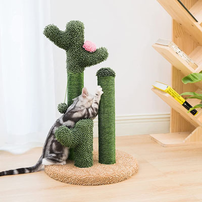 Unique Scratching Posts You And Your Kitty Will Love! – Meow As Fluff