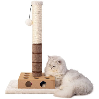 Unique Scratching Posts