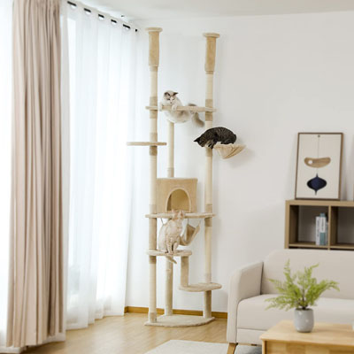 Floor To Ceiling Cat Trees And Scratching Posts