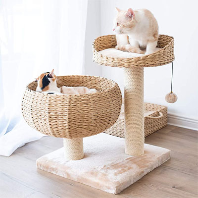Modern And Stylish Cat Trees, Beds, Condos, And Caves