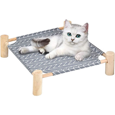 Raised And Elevated Cat Beds