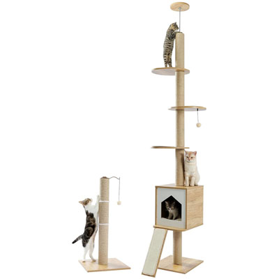 Floor To Ceiling Cat Trees And Scratching Posts