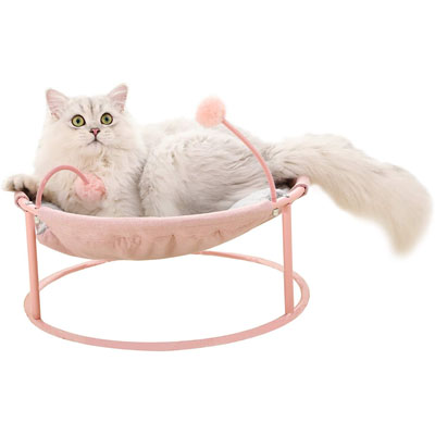 Raised And Elevated Cat Beds