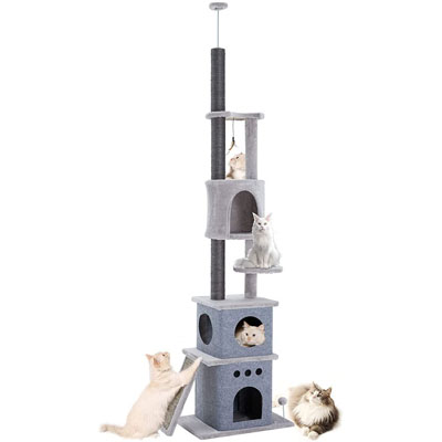 Floor To Ceiling Cat Trees And Scratching Posts