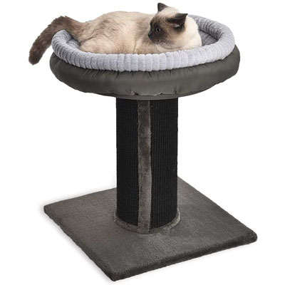 Raised And Elevated Cat Beds