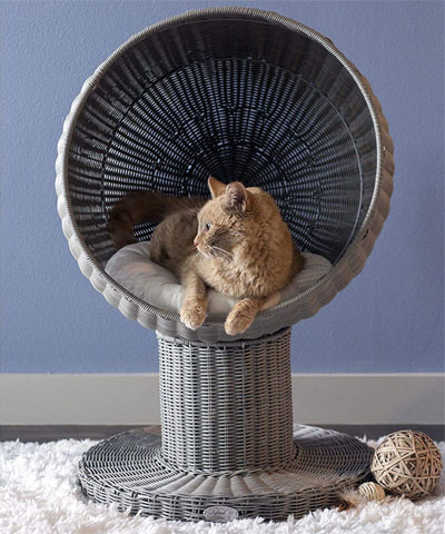 Raised And Elevated Cat Beds