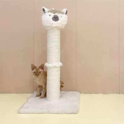 Unique Scratching Posts