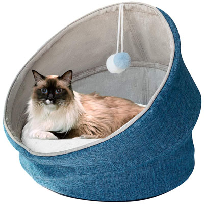 Raised And Elevated Cat Beds