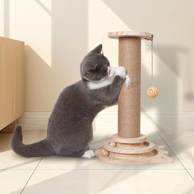 Unique Scratching Posts