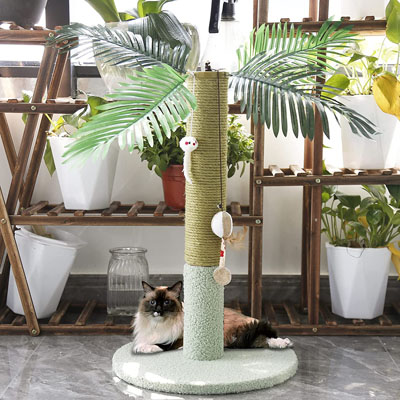 Unique Scratching Posts