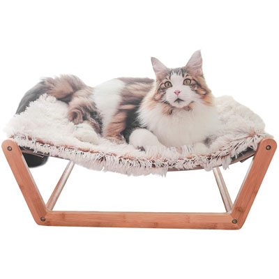 Raised And Elevated Cat Beds