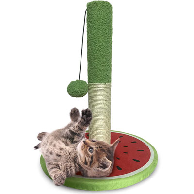 Unique Scratching Posts