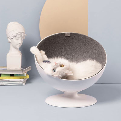 Raised And Elevated Cat Beds