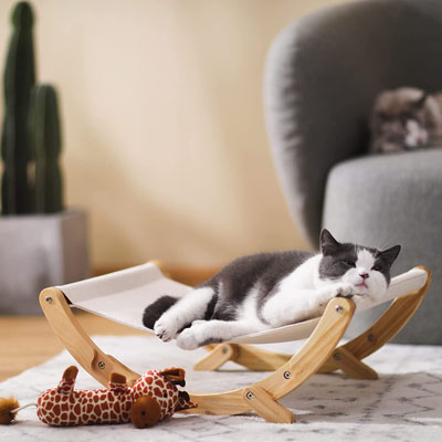 Raised And Elevated Cat Beds