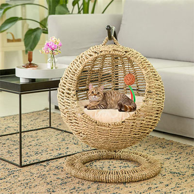 Raised And Elevated Cat Beds