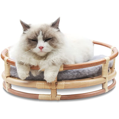 Raised And Elevated Cat Beds