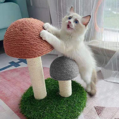 Unique Scratching Posts
