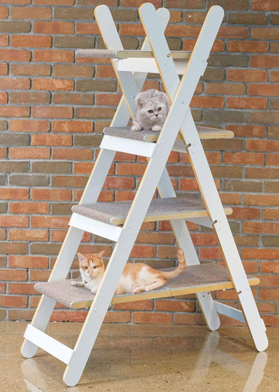 Modern And Stylish Cat Trees, Beds, Condos, And Caves